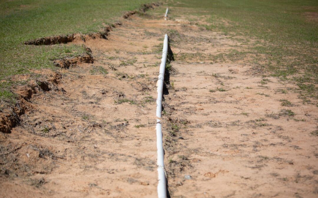 When to Repair vs. Replace Your Septic System