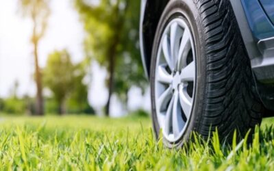 Why Parking on Your Drain Field Is a Bad Idea